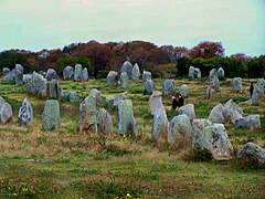 Stones in the Ménec alignment