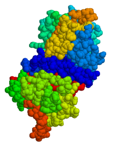 Plasma protease C1 inhibitor