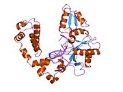 8icz: DNA POLYMERASE BETA (POL B) (E.C.2.7.7.7) COMPLEXED WITH SEVEN BASE PAIRS OF DNA; SOAKED IN THE PRESENCE OF OF DATP (1 MILLIMOLAR), MNCL2 (5 MILLIMOLAR), AND LITHIUM SULFATE (75 MILLIMOLAR)