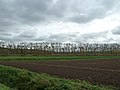 Zicht vanuit Geulle op het Julianakanaal en de daarachter oprijzende heuvels