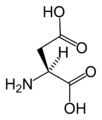 L-Asparaginsyre (Asp / D)