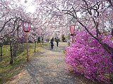 たけべの森公園