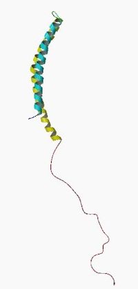 Synucleinum alpha