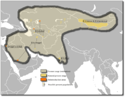 Distribución de Equus hemionus.