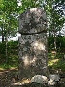 Menhir de Picarel.