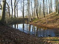 Turmhügelburg Schmoldow – Wall, Graben, Hügel