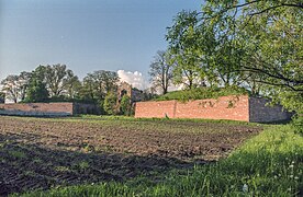 Castillo de Danków