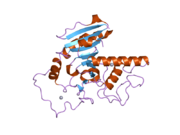 2i7b: Structure of the naturally occurring mutant of human ABO(H) Blood group B glycosyltransferase: GTB/A268T