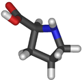 Prolina (Pro/P)