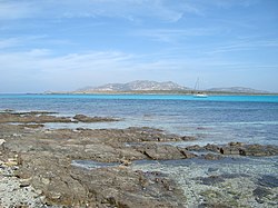 Asinara