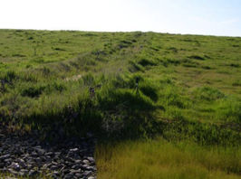 Een afvoerkanaal op de Fresno Sanitary Landfill