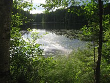 Nuuksio National Park.JPG