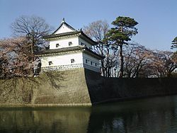 Kawasan Istana Shibata