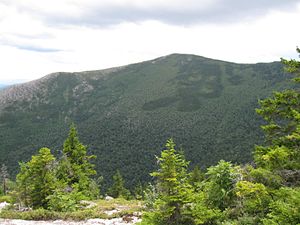 South Baldface