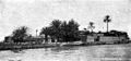 Photograph of Ezra's Tomb, early 20th century. The dome is hidden by date palms.