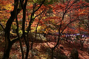 瑞宝寺公園。所在地は兵庫県神戸市の有馬温泉郷。