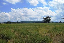 Arneys Mount, the highest point in Burlington County, in Springfield Township