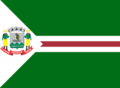 Bandeira de Jucurutu