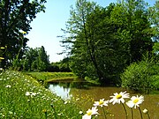 Canal de l'écluse de la Roche.