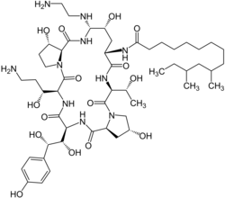 Image illustrative de l’article Caspofungine