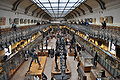 Galerie de Paléontologie et d'Anatomie comparée du Muséum national d'histoire naturelle, à Paris, expose des fossiles et des reconstitutions.