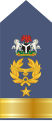 (Nigerian Air Force)[11]