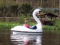 un pédalo-cygne (ein Schwantretboot)