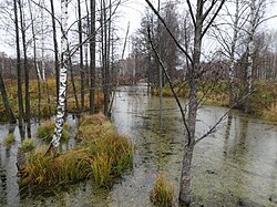 Возле села Палашкино