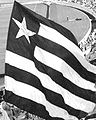 Bandera del Botafogo.