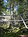 Railings of the trail up Beacon Rock