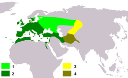 Az elterjedési területe Carduelis carduelis carduelis 1. nyáron 2. egész évben Carduelis carduelis caniceps 3. nyáron 4. egész évben