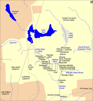 Map shows Kitchen Creek flows southeast from Ganoga Lake, through Lake Jean, dry Lake Rose, and ten waterfalls in Ganoga Glen. A second branch flows south through dry Lake Leigh, then eight waterfalls in Glen Leigh. The branches meet at Waters Meet then flow south through six waterfalls in Ricketts Glen. South Branch Bowman Creek is east of Lake Leigh and Big Run is west of Lake Rose. Pennsylvania Route 487 runs north-south at left, and Pennsylvania Route 118 runs east-west at the bottom of the map.