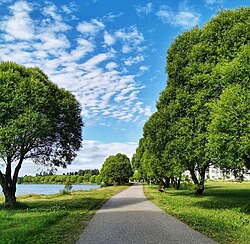 Terijoen salavat pyörätien varrella kesäisellä ranta-alueella.