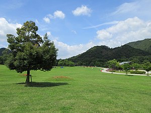 岡崎市こども自然遊びの森 わんPark