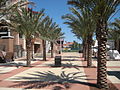 Andy and Carole Haggard Plaza at Dick Howser Stadium