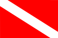 Vlag van Linschoten