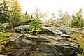 Felsen des Wendelsteins