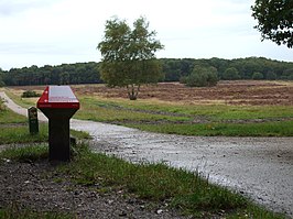 Hoorneboegse Heide