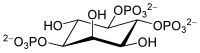 The inositol trisphosphate trianion