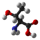 ▵ Molecuulmodel van L-Threonine