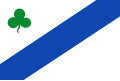 Vlag van Lioessens