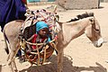 Âne transportant un enfant sur une route de Bol.