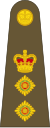 Coronel