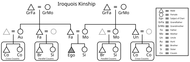 Egocentric genealogical diagram of the Iroquois kinship system.