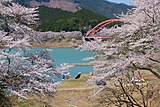 七川ダム湖畔（和歌山県古座川町）