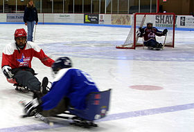 Image illustrative de l’article Para-hockey sur glace