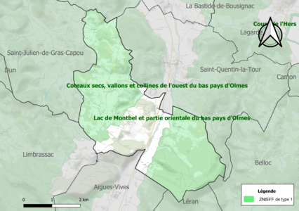 Carte des ZNIEFF de type 1 sur la commune.