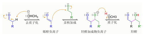 碱-催化的醛自身发生羟醛反应的机理