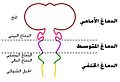 تصغير للنسخة بتاريخ 01:31، 23 مارس 2016