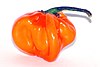 Chile Habanero